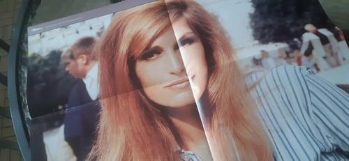 Dalida poster - dalida,