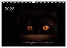 Chats British Shorthair chocolatés (Calendrier mural 2026 DIN A3 horizontal), CA