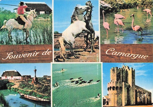 Saintes maries la - saintes,