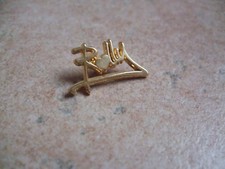 PINS  ROLLY DERRIERE: ARTHUS BERTRAND PARIS 