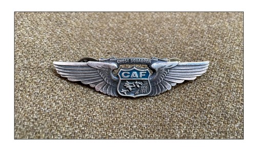Ww2 brevet pilote - us, aaf