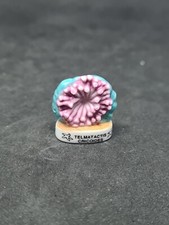 (E29) Feve animaux atlas éditions peintes à la main telmatactis cricoides