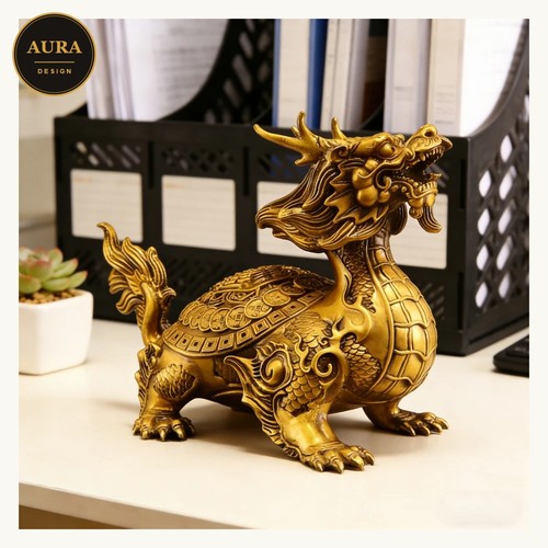 Tortue dragon bixie - tortue,
