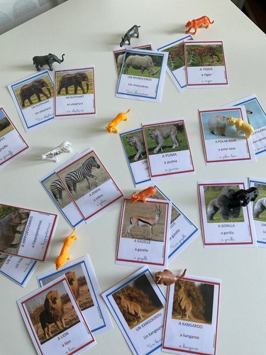 Kit bilingue les - , animaux