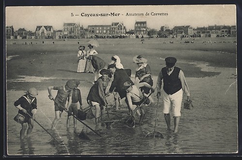 Carte postale cayeux sur - carte, cayeux-sur-mer