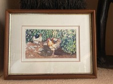 Aquarelles,basse cour, poules