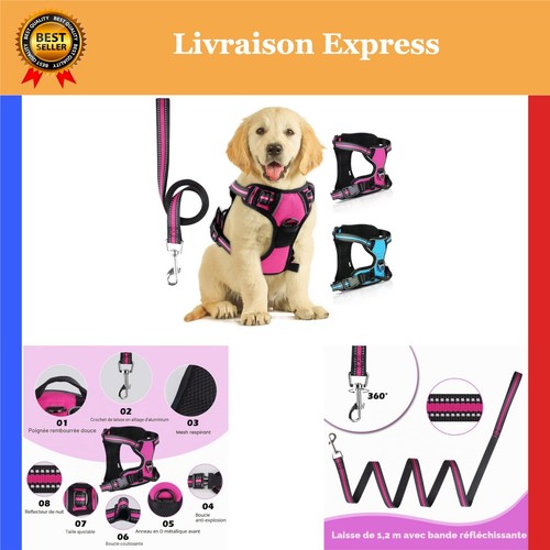 Harnais Chien Anti Traction