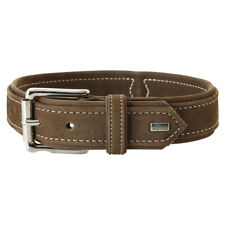 Hunter Collier Chasse V2 pour