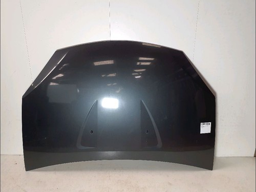 Capot dacia sandero stepway - dacia,
