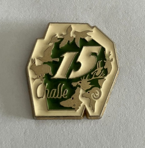 Pin s federation - 45, pin's