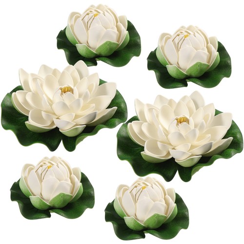 Plante bassin fleurs - plante,