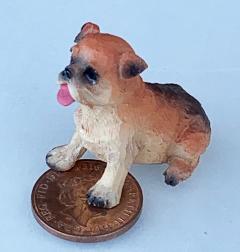 Maison poupée boxer chien - maison,