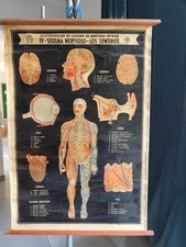 Affiche planche pédagogique