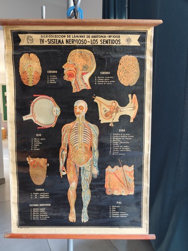 Affiche planche pédagogique