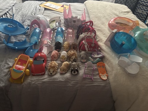 Zhu pets - zhu,