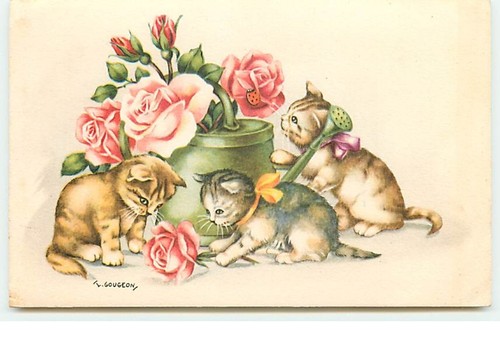 Gougeon chatons jouant avec - gougeon,
