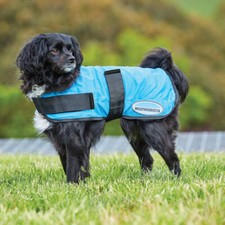Weatherbeeta Therapy-Tec