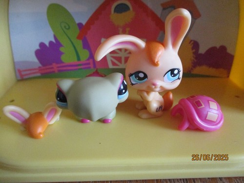 Petshop duo tortue - petshop, #1310
