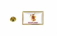 pins pin badge pin's drapeau