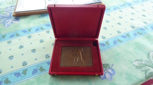 Medaille bronze pain syndicat - medaille,