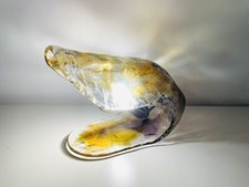 Lampe de Table La Murrina