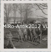 Photo, les chevaux se