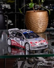 Peugeot 206 WRC Panizzi tour