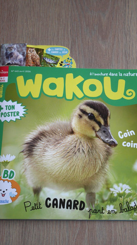 Revue wakou 445 avril - 445,