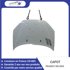 🇫🇷 CAPOT PEUGEOT 206 3P