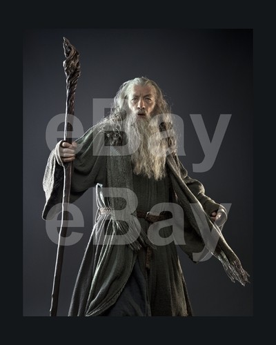 Hobbit un voyage - le,
