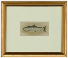 Aquarelle Du Début Du 20Ème