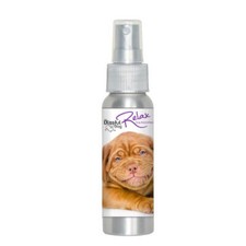 Dogue de Bordeaux Relax Dog