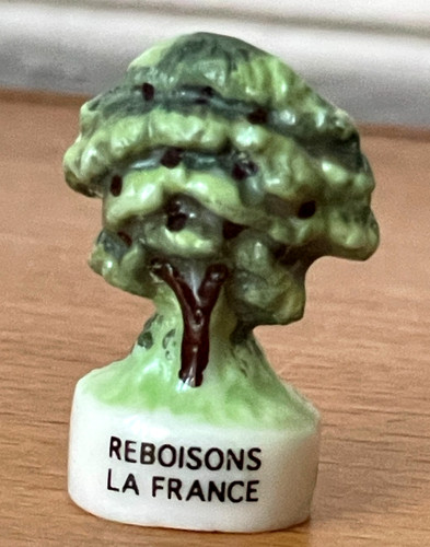 Fève arbre reboisant - fève, la