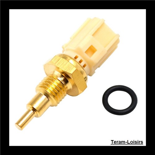 Sonde température thermostat - sonde,