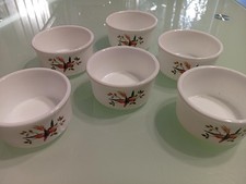 Lot de 6 Ramequins Arcopal Vintage Décor Motif Oiseau Exotique (Rare)