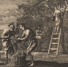 1766 Gravure sur bois Récolte