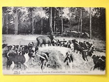 cpa FRANCE FONTAINEBLEAU