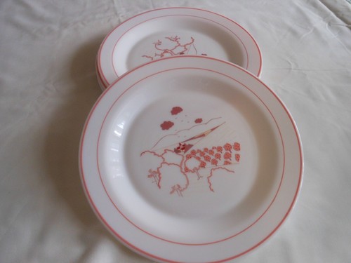 Assiettes plates arcopal - 6,