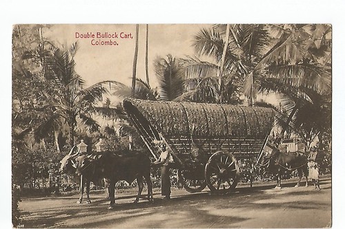 Sri lanka ceylon double - sri,