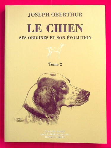 Chien ses origines et - le,