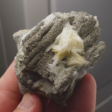 ★☆ STALACTITE DE PYRITE de St-Laurent-le-Minier, Gard, France - 6,8 cm ☆★