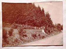 AZ565 photo circa 1925 famille bourgeoise campagne femme robe blanche