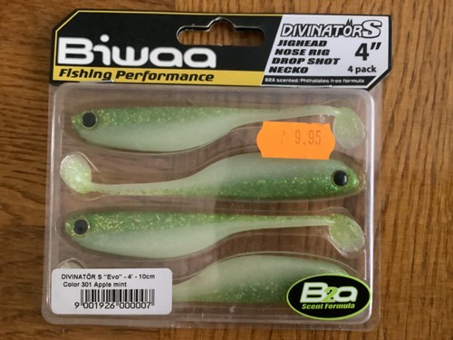 Leurres souples biwaa 10cm - biwaa, 4''/10cm