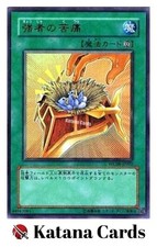Cartes Yugioh | Le fardeau du
