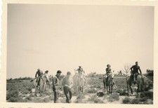 Snapshot randonnéé équestre cheval chevaux horse animée bâtons fouille herbes