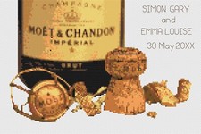 Point de Croix Mariage Échantillonneur Kit Ou Motif - Florashell - Champagne