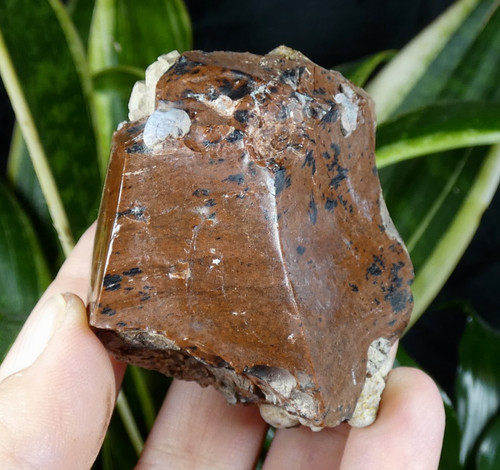 Obsidienne marron acajou brute - acajou,