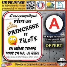 2 Stickers Autocollant humour