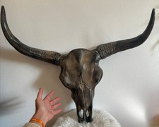 vintage sculpture squelette crâne tête de buffle corne design mural métal no os