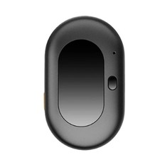 4G GPS Animal de Compagnie